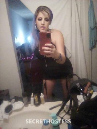 MissD 29Yrs Old Escort Tucson AZ Image - 8