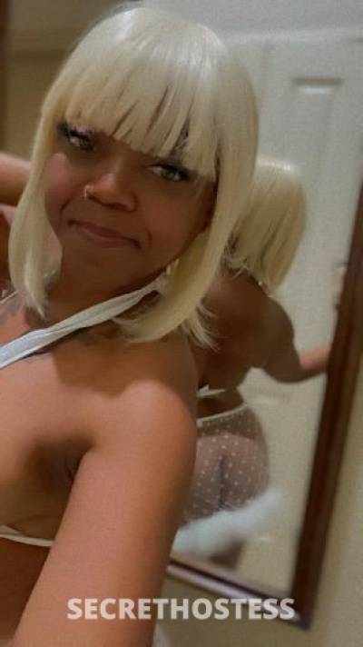 Mya 29Yrs Old Escort Los Angeles CA Image - 1