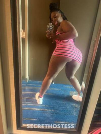 Remi 28Yrs Old Escort Saint Louis MO Image - 5