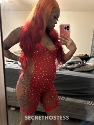 Royalty 29Yrs Old Escort North Mississippi MS Image - 10