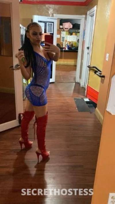 25 year old Escort in Miami FL 4'11 &amp; Freaky. in North Miami - PLEASE READ BIO
