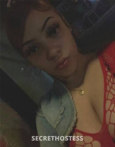 19Yrs Old Escort San Jose CA Image - 0