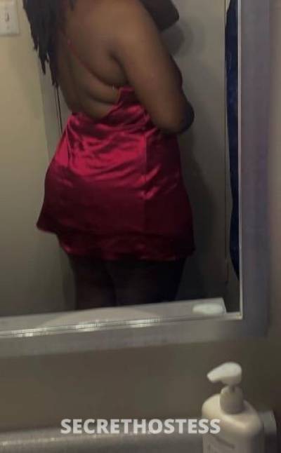 24Yrs Old Escort Dallas TX Image - 1