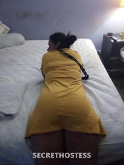 33Yrs Old Escort 167CM Tall Tampa FL Image - 0