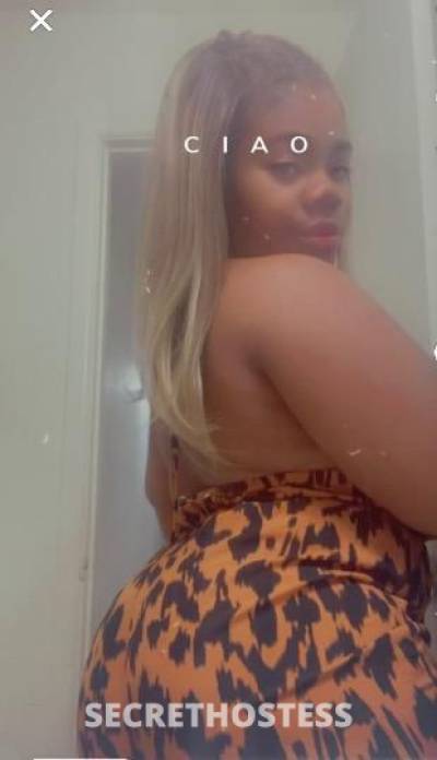 Ashley 24Yrs Old Escort Odessa TX Image - 5