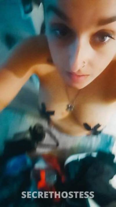 Becky 28Yrs Old Escort Raleigh-Durham NC Image - 7