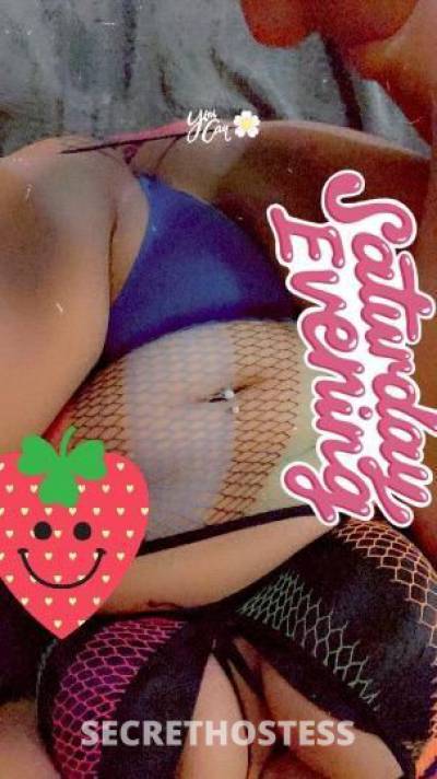 Bunnie♡︎🐰 19Yrs Old Escort San Antonio TX Image - 5