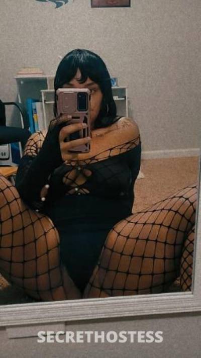 Caramel 26Yrs Old Escort Dayton OH Image - 5