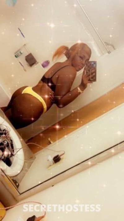 Cartelmonae 26Yrs Old Escort Terre Haute IN Image - 0