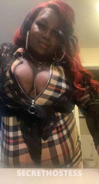 Chocolateparadise 25Yrs Old Escort 185CM Tall Houston TX Image - 0