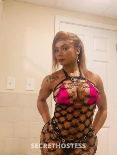 Cindyandlis 28Yrs Old Escort North Jersey NJ Image - 3