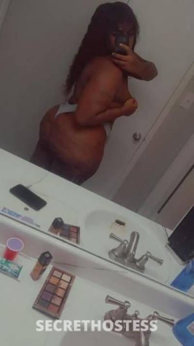 CoCo 27Yrs Old Escort San Antonio TX Image - 0