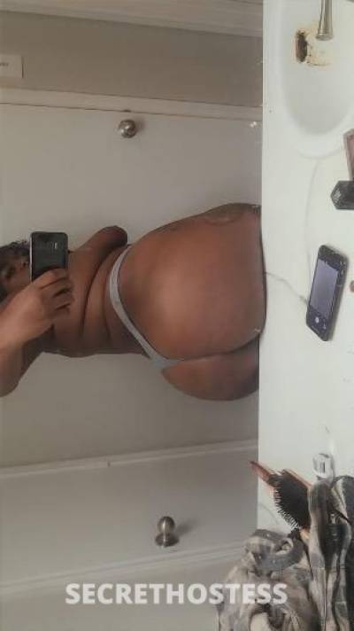 CoCo 27Yrs Old Escort San Antonio TX Image - 1