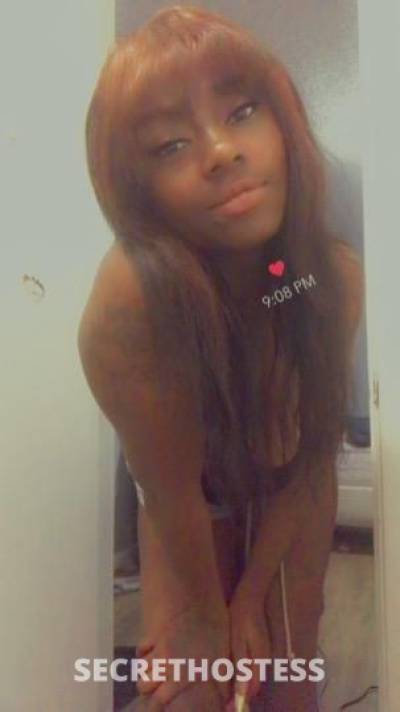 Diamond 28Yrs Old Escort Killeen TX Image - 1