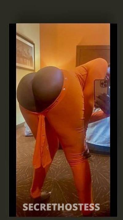 FatBooty😩chocolate 21Yrs Old Escort Houston TX Image - 4