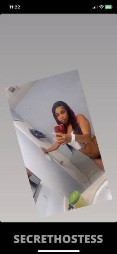 Honey 21Yrs Old Escort North Mississippi MS Image - 7