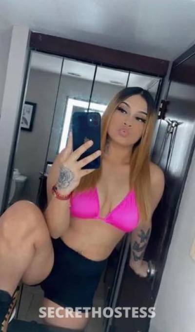 Mercedes 21Yrs Old Escort San Antonio TX Image - 5