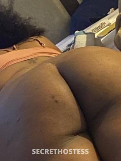 Paris 20Yrs Old Escort Bronx NY Image - 4