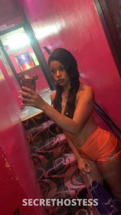 Starr 24Yrs Old Escort Houston TX Image - 5