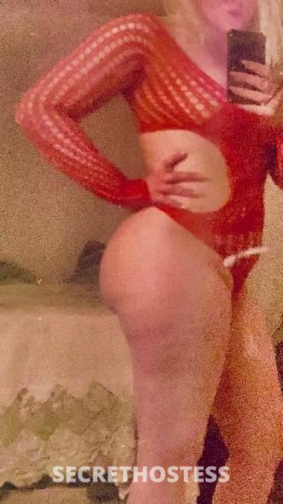 Tessa 27Yrs Old Escort Rochester NY Image - 0