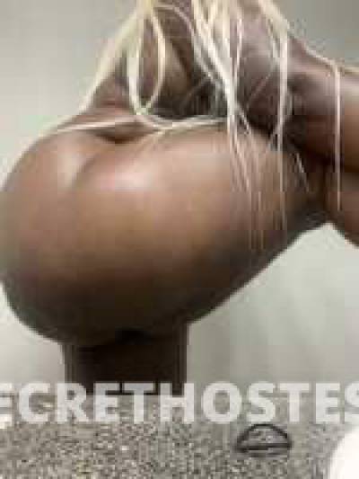 lovejones 26Yrs Old Escort Florence SC Image - 1