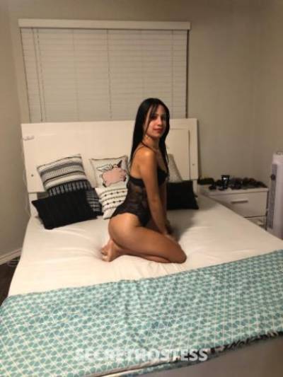 27Yrs Old Escort Dallas TX Image - 2