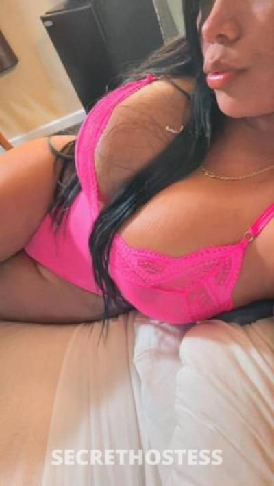 Camila 25Yrs Old Escort San Jose CA Image - 1