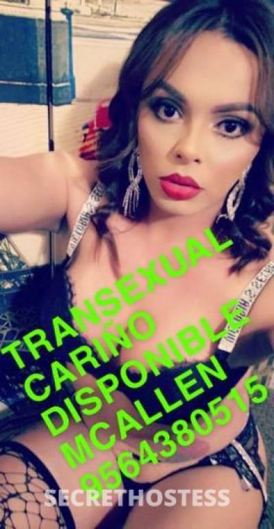 Cariño 25Yrs Old Escort McAllen TX Image - 6