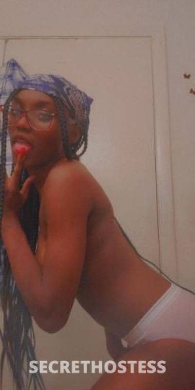 Coco 21Yrs Old Escort Gainesville FL Image - 3