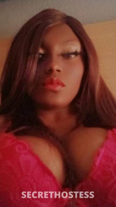 Coco 21Yrs Old Escort Gainesville FL Image - 1