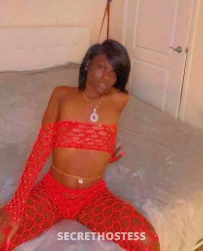 Destiny 25Yrs Old Escort Sacramento CA Image - 1