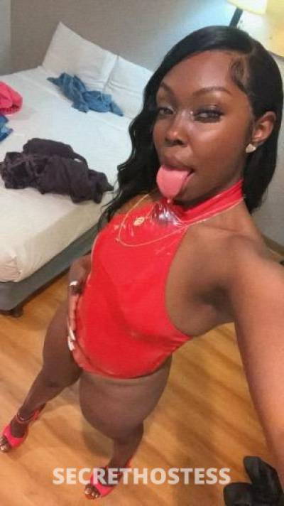 Draya 25Yrs Old Escort Monterey CA Image - 4