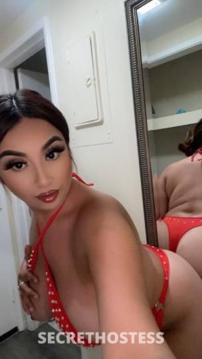 Kay 21Yrs Old Escort Fresno CA Image - 1