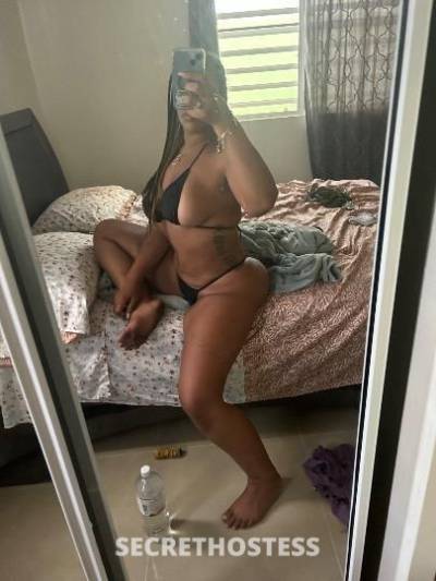 Kitty 28Yrs Old Escort Bridgeport CT Image - 1