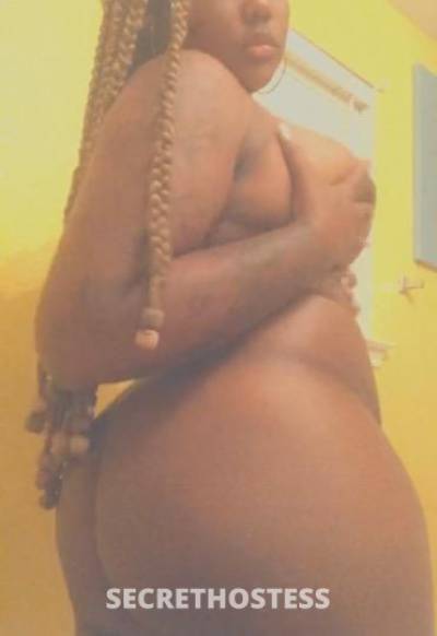 Lulu 24Yrs Old Escort Washington DC Image - 1