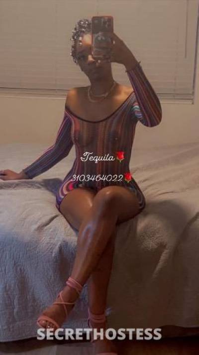 REAL PICS💕 super SEXy😍 FUN👅 HORNy💦 c u m get a  in Los Angeles CA