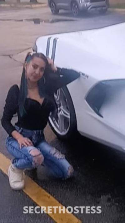 Monicaa 32Yrs Old Escort Miami FL Image - 4