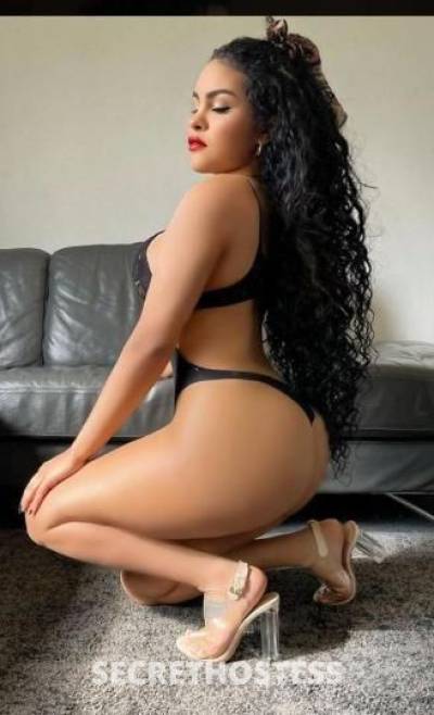 Yenni 29Yrs Old Escort San Jose CA Image - 2