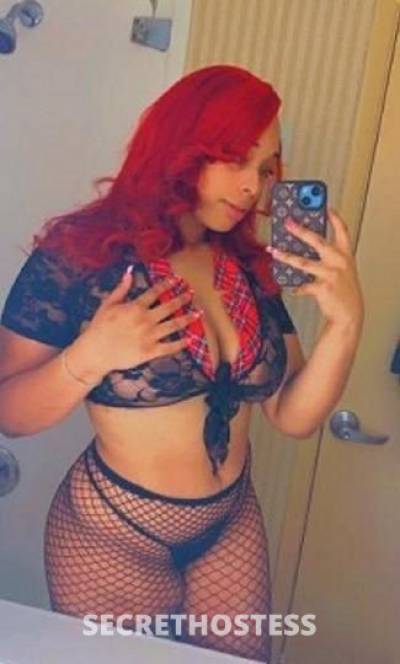 26Yrs Old Escort Albany NY Image - 3