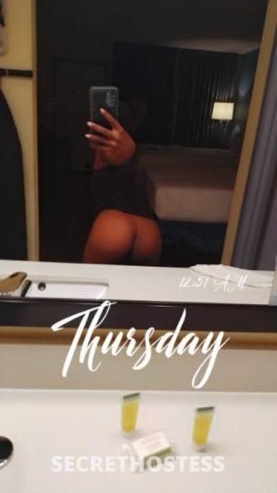 Amber 28Yrs Old Escort 157CM Tall Houston TX Image - 3