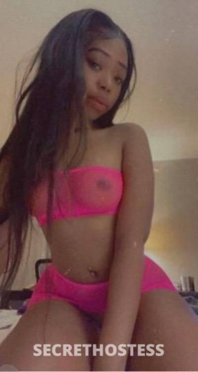 Annalise 25Yrs Old Escort South Coast MA Image - 3