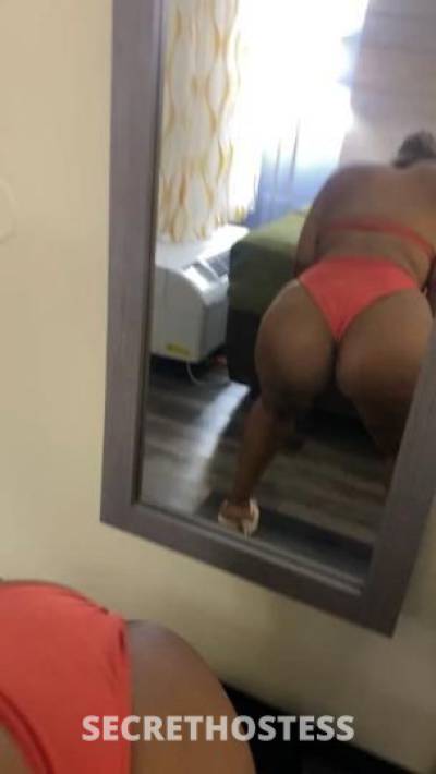 Ash 22Yrs Old Escort North Jersey NJ Image - 0