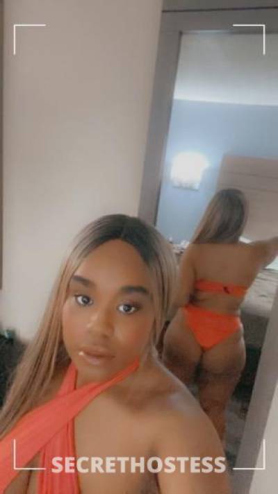 Ash 22Yrs Old Escort North Jersey NJ Image - 1