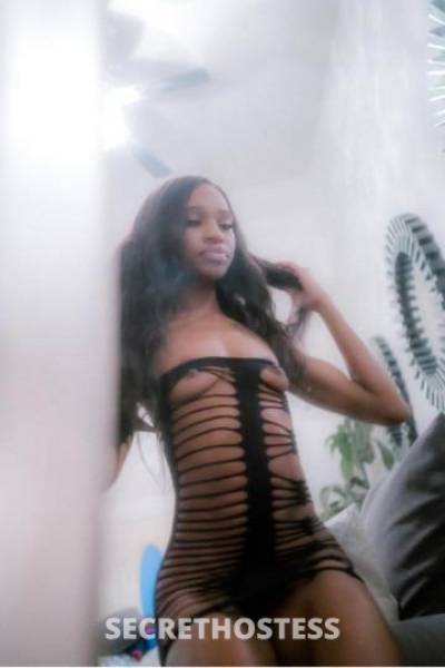 Ceecee 23Yrs Old Escort Toledo OH Image - 1