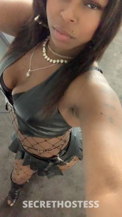 Cherii 27Yrs Old Escort Chicago IL Image - 0