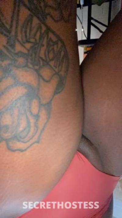 Kash 25Yrs Old Escort Clarksville TN Image - 0