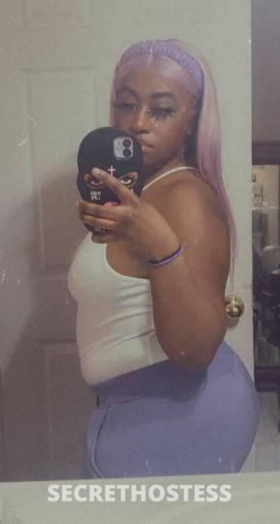 Miss5StarKitty 30Yrs Old Escort Bronx NY Image - 6