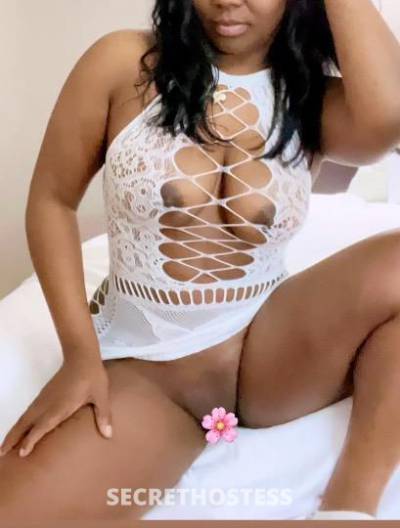 Rosa 28Yrs Old Escort San Antonio TX Image - 0