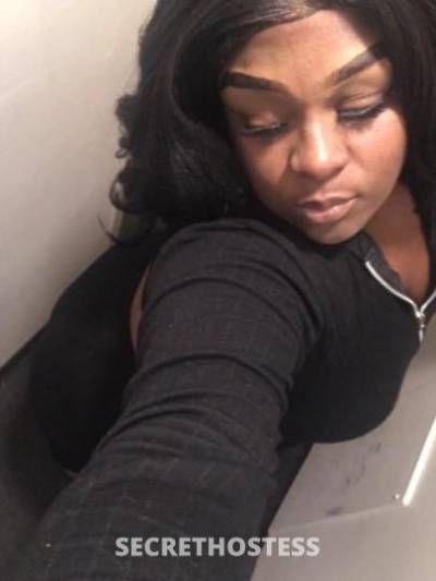 Stormy 31Yrs Old Escort Ft Wayne IN Image - 0