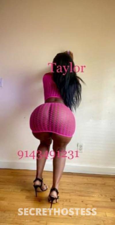 TAYLOR 28Yrs Old Escort Westchester NY Image - 3